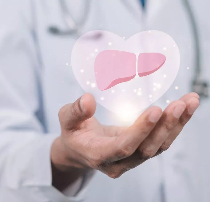 Heart, Kidney & Liver Care